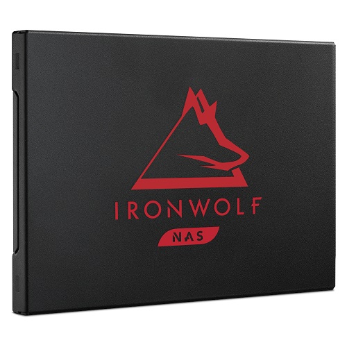 씨게이트 아이언울프(IronWolf) 125 SATA SSD.