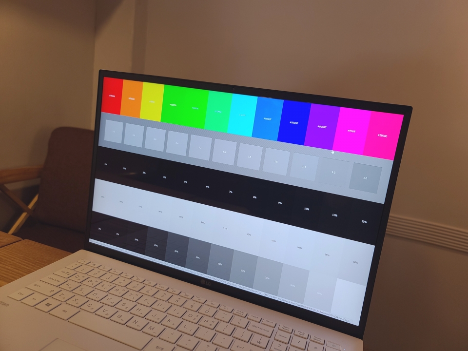 모니터 테스트 사이트에서 디스플레이의 색감을 확인했다. 일반 노트북보다 색 구분이 명확했다.