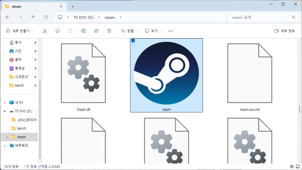삼성전자 T5 EVO에서 steam.exe를 더블 클릭하면 스팀 클라이언트가 실행된다.