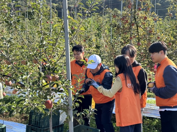 경기도 포천시 소재 사과 농가에서 사과 수확을 하는 한화 임직원들 모습. 사진=농협중앙회